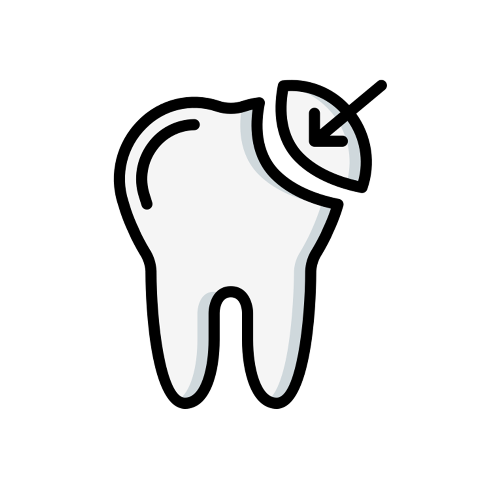 Metal-Free Crowns